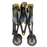 Custom Coleman® Camp Wagon - 4