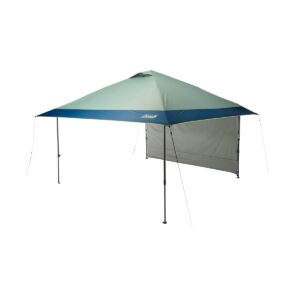 Custom Newell Brands Distribution LLC Coleman 10' X10 Oasis Canopy w/Sun Wall